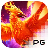 pp image
