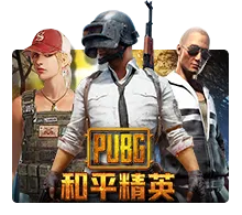 pp image