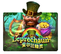 pp image